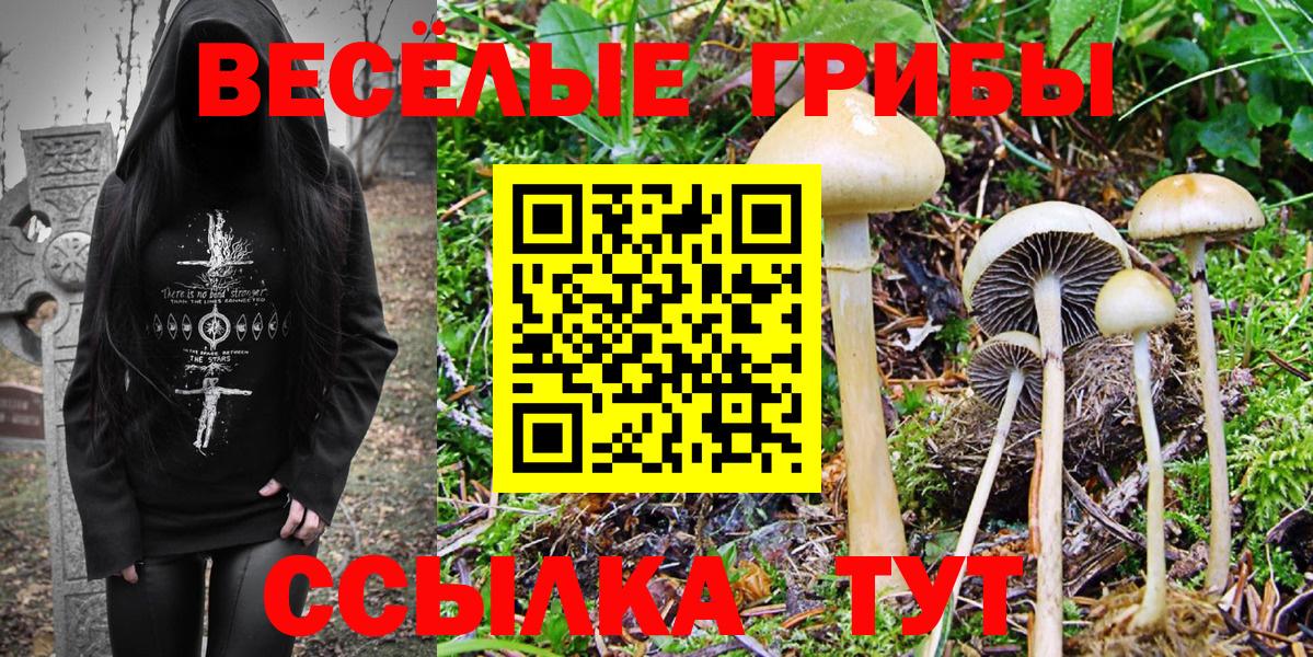 Сердобск  Псилоцибиновые грибы GOLDEN TEACHER  Вход с VPN 