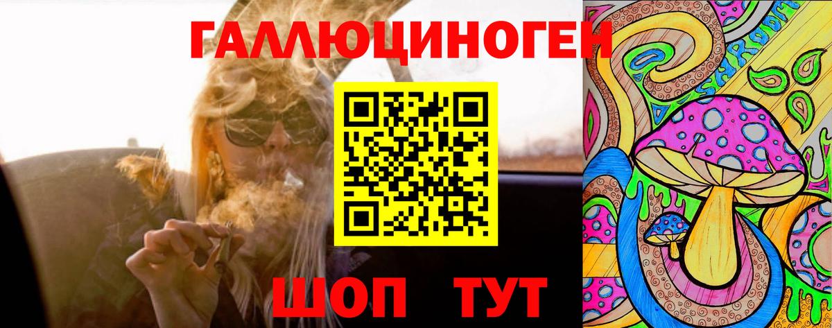 Псилоцибиновые грибы GOLDEN TEACHER Сердобск